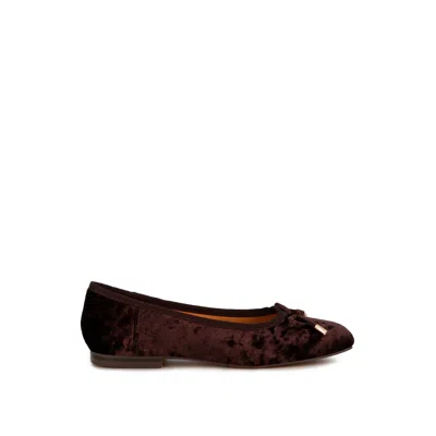Rag & Co Women's Buckrose Velvet Bow Ballerinas In Brown By