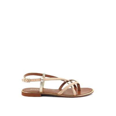 Rag & Co Women's Neutrals Pheobe Strappy Beige Flat Sandals