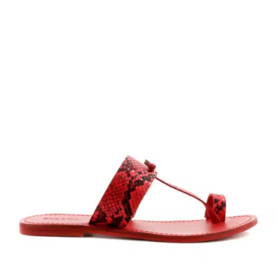 Rag & Co Women's Red Leona Snake Print Thong Flat Sandals