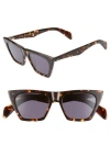 Rag & Bone Square Acetate Sunglasses In Dark Havana