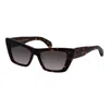 Rag & Bone Rnb 1068/s 086 53mm Womens Cat Eye Sunglasses In Brown