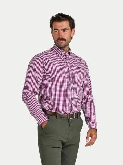 Raging Bull Classic Long Sleeve Gingham Shirt In Purple