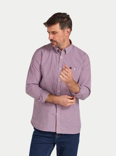 Raging Bull Long Sleeve Graph Check Poplin Shirt In Pink