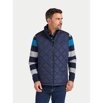 Raging Bull Quilted Gilet In Brown