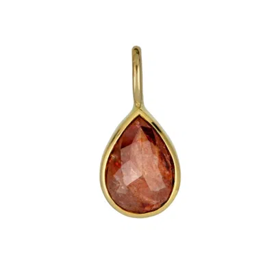 Rahul's Jewels Women's Gold / Red Sanctum Vita Pendant - 14 Karat Gold With Genuine Red Diamond In Multi