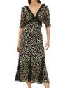 Rails Annmarie Dress In Daisy Dot Combo In Black