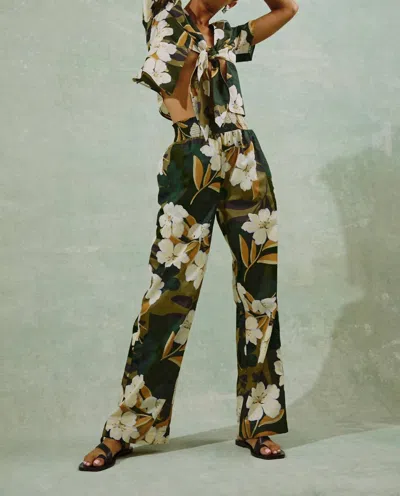 Rails Brendon Pant In Plumerias In Multi