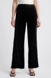 Rails Brissa Velvet Flare Pants In Black Velvet