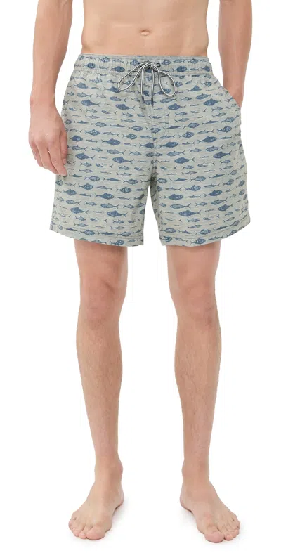 Rails Dane Swim Shorts 7 Vintage Aquarium Etch In Multi