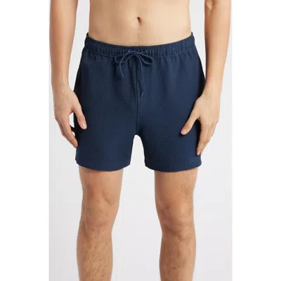 Rails La Brea Iridescent Swim Trunks In Navy Seersucker