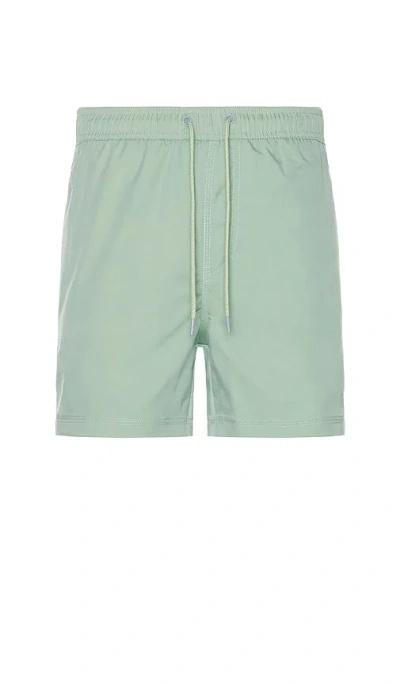 Rails La Brea Swim Short In Mint