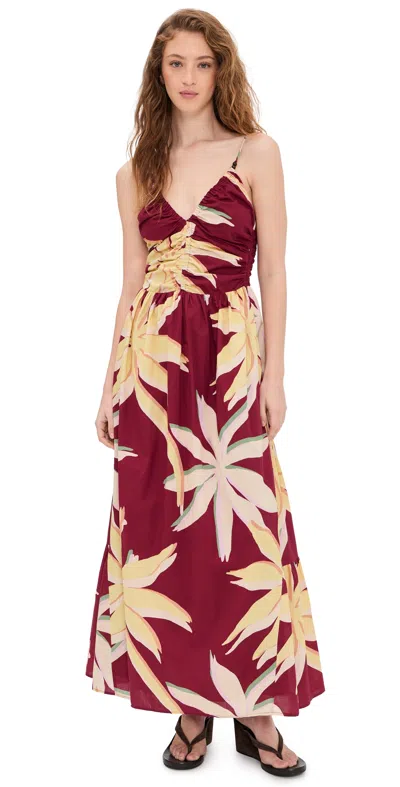 Rails Palm Dress Red Palma In Multi
