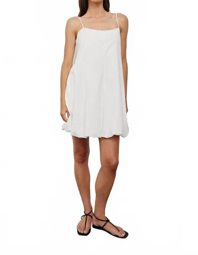 Rails Women's Blanca Dress In White
