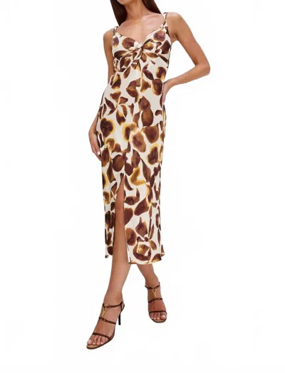 Rails Women's Viviana Dress In Espresso Lily In Multi