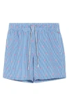 Rainforest Flamingo Stripe Seersucker Swim Trunks In Blue
