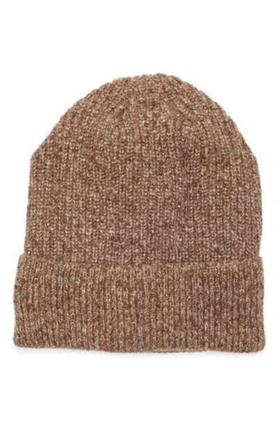 Rainforest Icelandic Marled Beanie In Brown