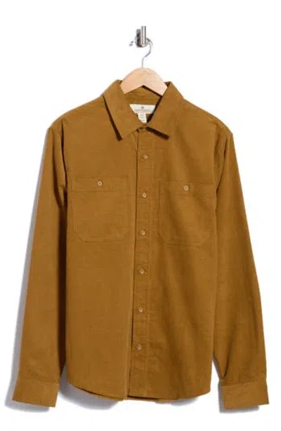 Rainforest Long Sleeve Corduroy Shirt In Breen
