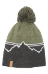 Rainforest Mountain Stripe Pom Beanie