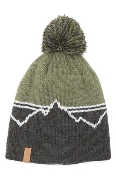 Rainforest Mountain Stripe Pom Beanie