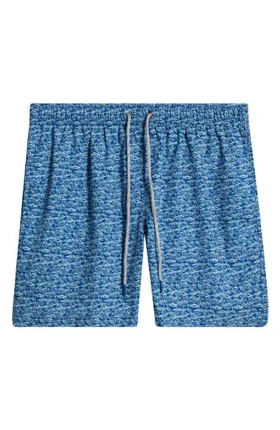 Rainforest School Of Fish Swim Trunks In Bering Sea