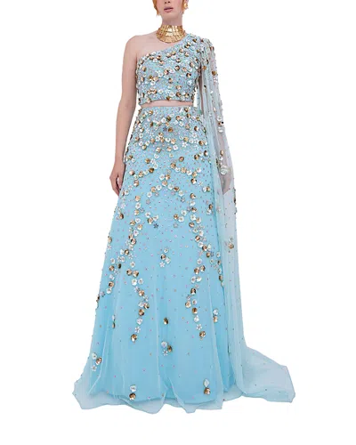 Raishma Inaya Gown In Blue