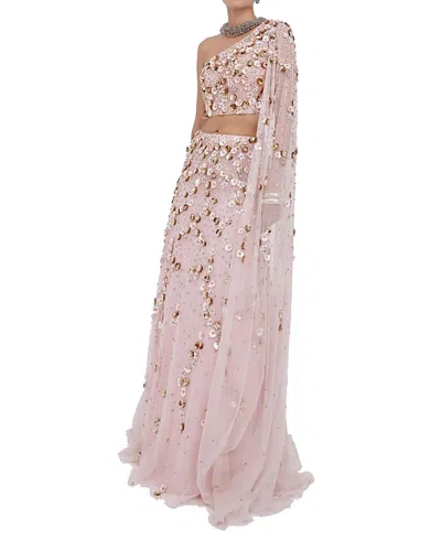 Raishma Inaya Gown In Pink