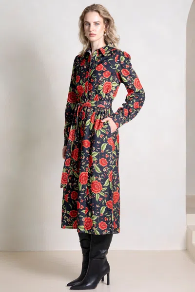 Raishma Inola Dress In Multi
