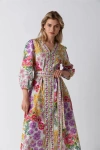 Raishma Michelle Dress In Multi