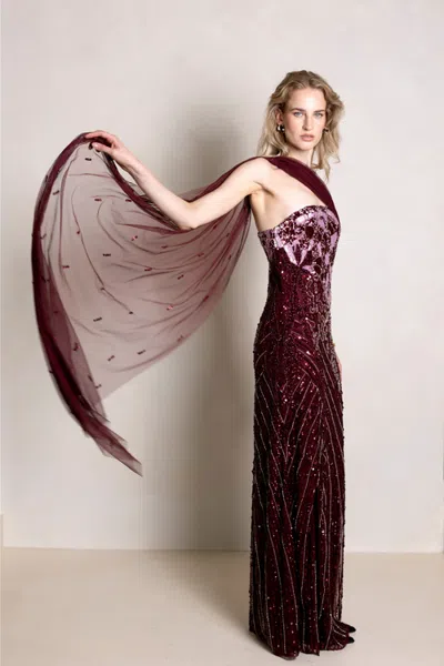 Raishma Natalia Gown In Burgundy