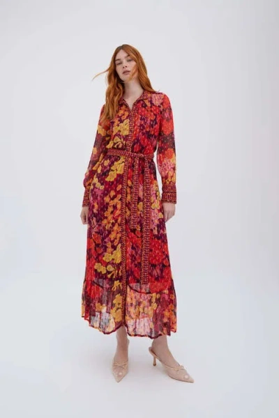 Raishma Olive Burgundy Dress
