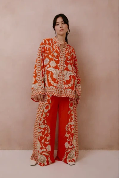 Raishma Sapphira Shirt In Animal Print