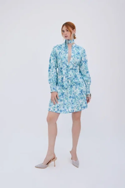 Raishma Veronica Dress In Blue
