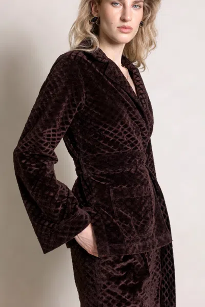 Raishma Viana Jacket In Brown