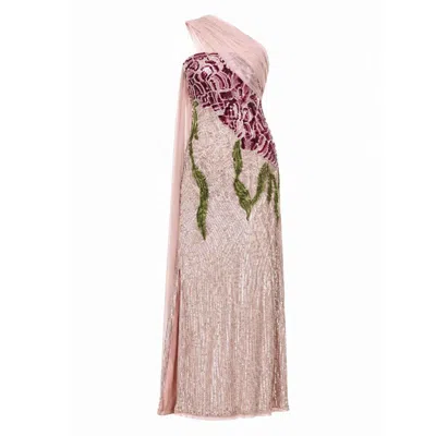 Raishma Women's Natalia Pale Pink Gown
