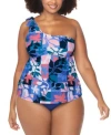 Raisins Curve Trendy Plus Size Marita Asymmetric Tankini Top Costa Ruched Bikini Bottoms In Slate Multi