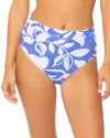 Raisins Tropics Bottom
