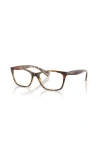 Ralph 52mm Cat Eye Optical Glasses In Brown