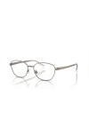 Ralph 52mm Oval Optical Glasses In Brown