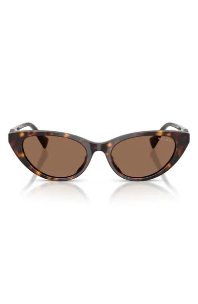 Ralph 53mm Gradient Cat Eye Sunglasses In Brown