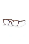 Ralph 53mm Rectangle Optical Glasses In Brown