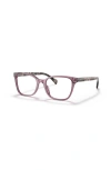 Ralph 53mm Rectangle Optical Glasses In Pink