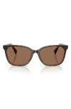 Ralph 56mm Gradient Square Sunglasses In Brown