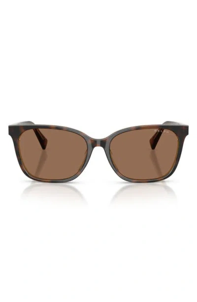 Ralph 56mm Gradient Square Sunglasses In Brown