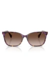 Ralph 56mm Gradient Square Sunglasses In Brown