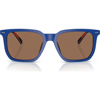 Ralph Lauren Ralph By  55mm Rectangular Sunglasses In Dark Brown