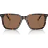 Ralph Lauren Ralph By  55mm Rectangular Sunglasses In Shiny Havana