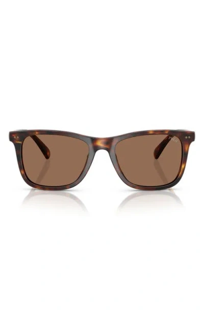 Ralph Lauren Ralph By  55mm Rectangular Sunglasses In Shiny Havana