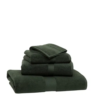 Polo Ralph Lauren Avenue Hand Towel In Green