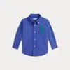 Ralph Lauren Big Pony Cotton Oxford Shirt In Blue