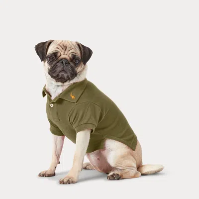 Ralph Lauren Cotton Mesh Dog Polo Shirt In Green